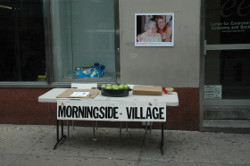 Tabling At A Busy Location.
